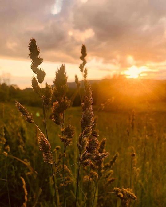 July 31-August 2: Coming Home to Your Heart Retreat in Shaftsbury, VT (Early Bird!)